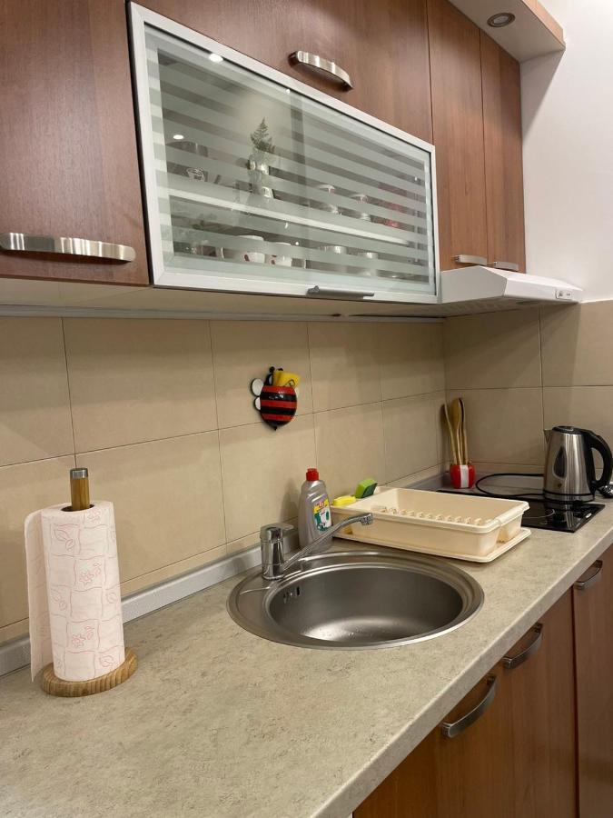 Vesna Apartman Vrnjačka Banja Extérieur photo
