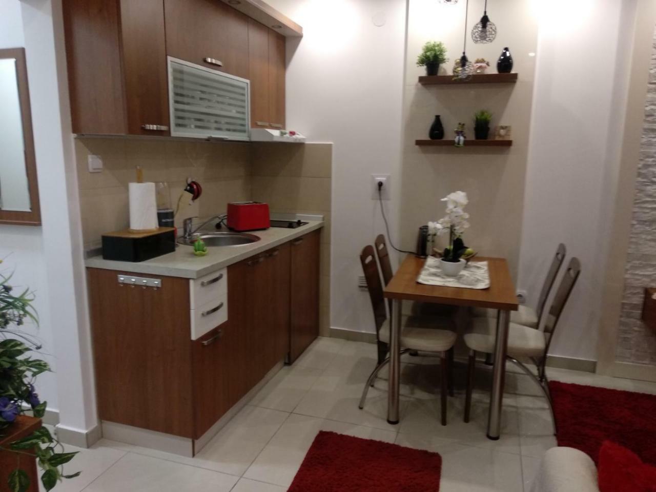 Vesna Apartman Vrnjačka Banja Extérieur photo